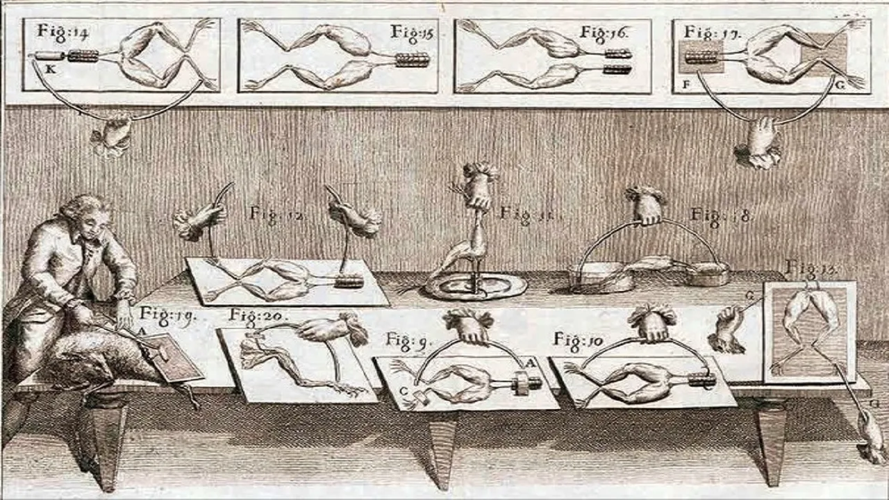 Dr N Someshwara Column: ಸತ್ತವನು ಎದ್ದು ಉಸಿರಾಡಿದಾಗ!...