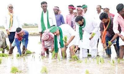 ನೇಗಿಲು ಹೊತ್ತ ರೈತ ನಾಯಕ, ಗದ್ದೆಯಲ್ಲಿ ನಾಟಿ ಮಾಡಿದ ಕಾಯಕ