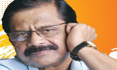 Narendra Parekat Column: 80ರ ಹೊಸ್ತಿಲಲ್ಲಿ ಬಿ.ಆರ್‌.ಎಲ್