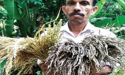 Narendra Pai Column: ಆರುನೂರು ತಳಿಗಳ ಸಂರಕ್ಷಕ !