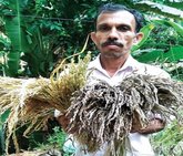 Narendra Pai Column: ಆರುನೂರು ತಳಿಗಳ ಸಂರಕ್ಷಕ !