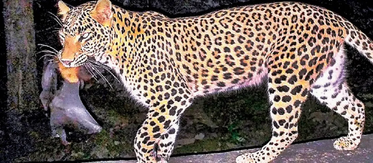 Screenshot_8