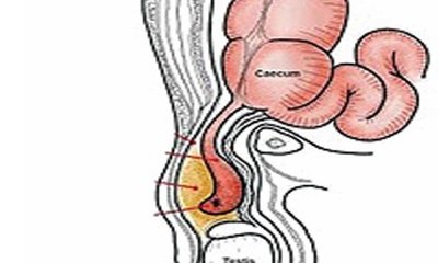 ಹದ್ದಿನ ಕಣ್ಣು, ಸಿಂಹದ ಗುಂಡಿಗೆ ಹಾಗೂ ನಾರಿಯ ಕೋಮಲ ನರಗಳು
