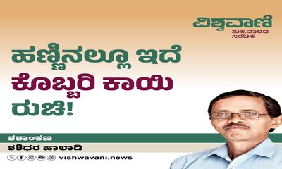 ಹಣ್ಣಿನಲ್ಲೂ ಇದೆ ಕೊಬ್ಬರಿ ಕಾಯಿ ರುಚಿ !