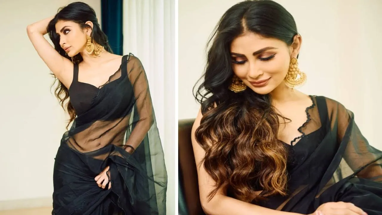 Sheer saree