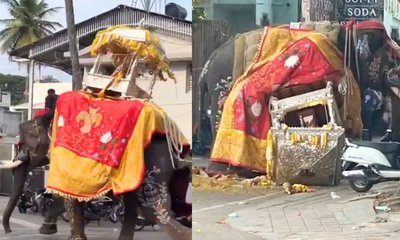 ಶಿವಮೊಗ್ಗದಲ್ಲಿ ಜಂಬೂ ಸವಾರಿ ವೇಳೆ ಬೆದರಿದ ಆನೆ; ತಪ್ಪಿದ ಅನಾಹುತ!