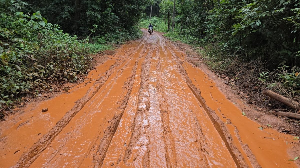 Sirsi 2