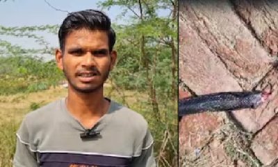 ತನಗೆ ಕಚ್ಚಿದ ನಾಗರಹಾವಿಗೇ ಕಚ್ಚಿದ ರೈತ