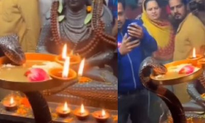 ಶಿವ ದೇವಾಲಯದಲ್ಲಿ ಆರತಿ ಮಾಡಿದ ವಿಷ ಸರ್ಪ