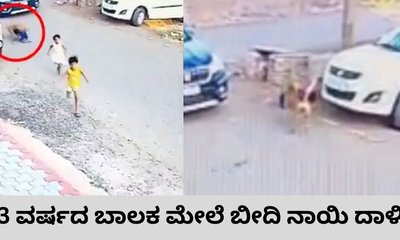 3 ವರ್ಷದ ಬಾಲಕನನ್ನು 30 ಮೀಟರ್‌ ದೂರ ಎಳೆದೊಯ್ದ ಬೀದಿ ನಾಯಿ
