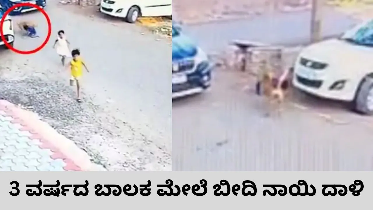 ವಿಜಯಪುರದಲ್ಲಿ 3 ವರ್ಷದ ಬಾಲಕ ಮೇಲೆ ದಾಳಿ ಮಾಡಿ 30 ಮೀಟರ್‌ ದೂರ ಎಳೆದೊಯ್ದ ಬೀದಿ ನಾಯಿ; ಸಿಸಿಟಿವಿ ಕ್ಯಾಮರಾದಲ್ಲಿ ದೃಶ್ಯ ಸೆರೆ