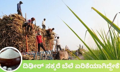 ಹಬ್ಬದ ಸೀಸನ್‌ನಲ್ಲಿ ಸಕ್ಕರೆ ದರ ದಿಢೀರ್‌ ಏರಿಕೆಗೆ ಕಾರಣವೇನು?