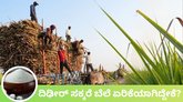 ಹಬ್ಬದ ಸೀಸನ್‌ನಲ್ಲಿ ಸಕ್ಕರೆ ದರ ದಿಢೀರ ಏರಿಕೆಗೆ ಕಾರಣವೇನು?