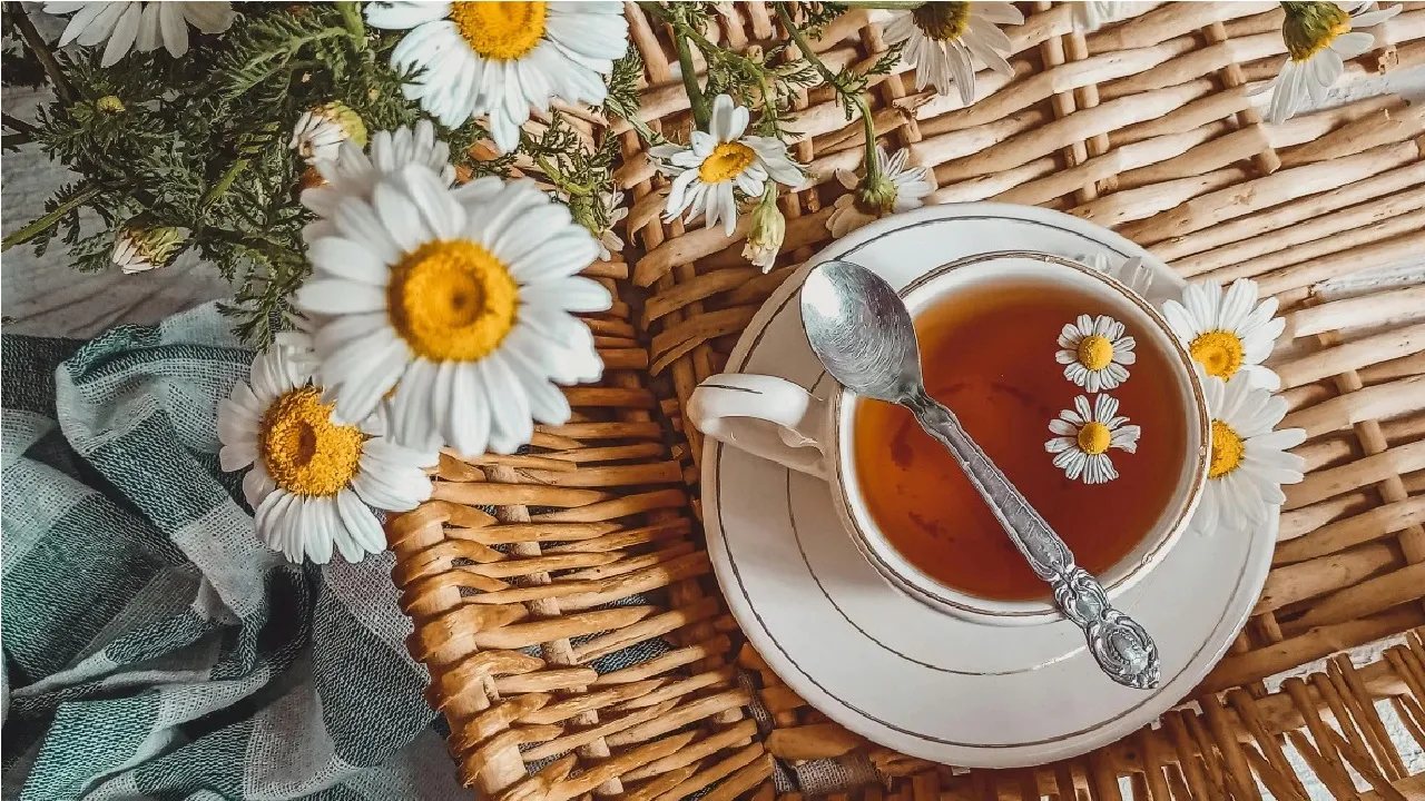 International Tea Day 2025: ಇಂದು ಅಂತಾರಾಷ್ಟ್ರೀಯ ಚಹಾ ದಿನ; ಏನಿದರ ವೈಶಿಷ್ಟ್ಯ? - Image 3