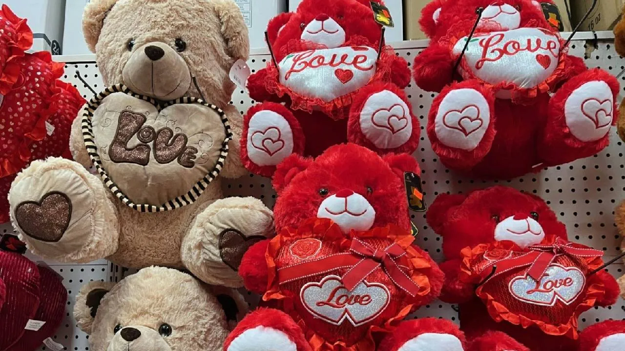 Valentines Week 2026: ವ್ಯಾಲೆಂಟೈನ್ಸ್ ವೀಕ್‌ನಲ್ಲಿ ಟ್ರೆಂಡಿಯಾಗಿರುವ 3 ಟೆಡ್ಡಿಬೇರ್ಸ್! - Image 3