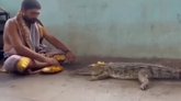 ಜೀವಂತ ಮೊಸಳೆಗೆ ಪೂಜೆ ಸಲ್ಲಿಸಿದ ಅರ್ಚಕ: ವಿಡಿಯೊ ವೈರಲ್