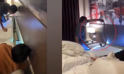 ದಂಪತಿಯ ಹಾಸಿಗೆಯ ಬಳಿ ಬೃಹತ್ ನಾಗರಹಾವು ಪತ್ತೆ