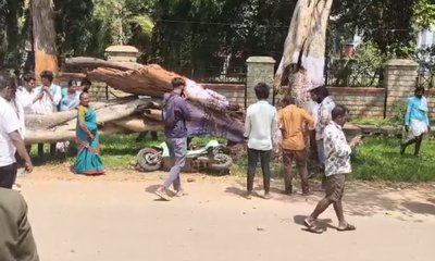 ತಿಪಟೂರಿನಲ್ಲಿ ಬೃಹತ್ ಮರದ ಕೊಂಬೆ ಬಿದ್ದು ನಿವೃತ್ತ ಶಿಕ್ಷಕ ಸಾವು