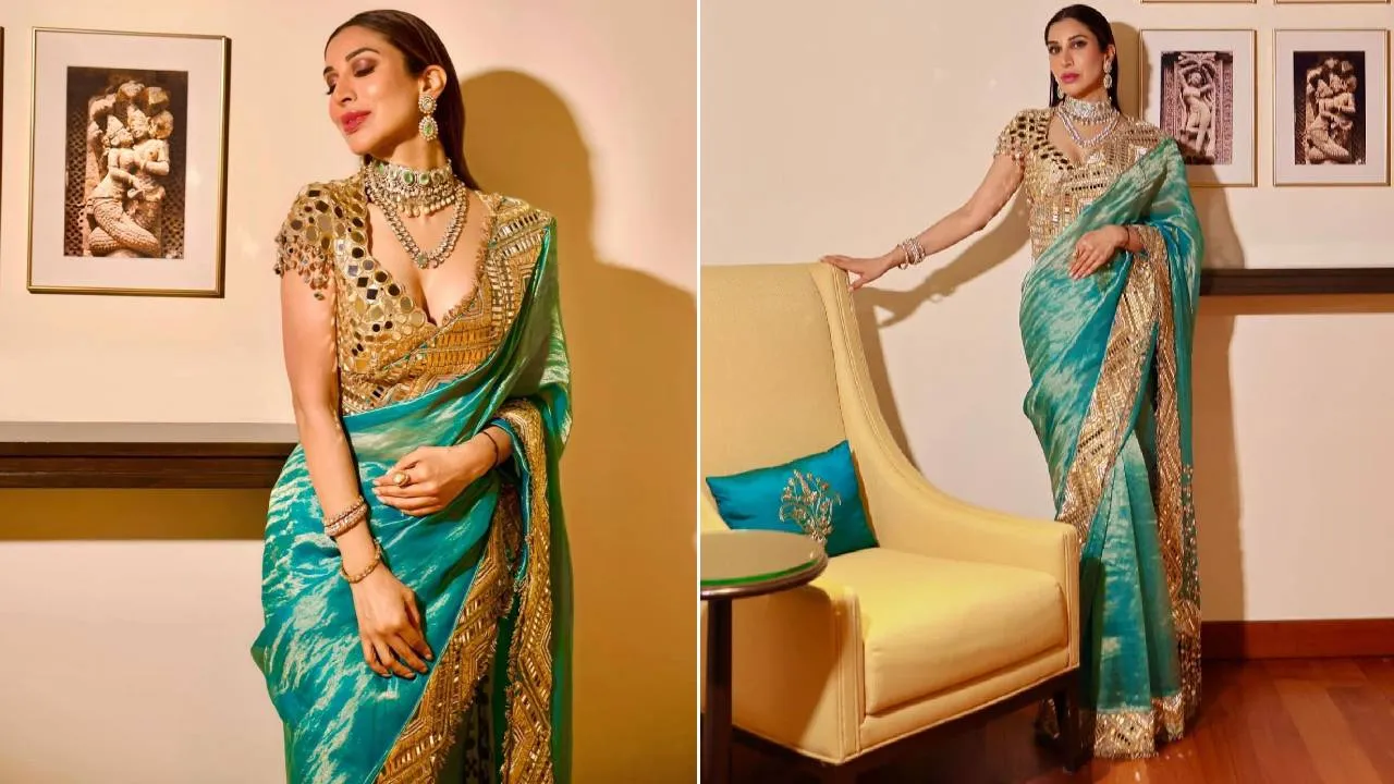 Saree Fashion 2026: ಟಿಶ್ಯೂ ಸಿಲ್ಕ್‌ ಸೀರೆಯಲ್ಲಿ ಸೆಲೆಬ್ರೆಟಿಯಂತೆ ಕಾಣಿಸಲು 5 ಐಡಿಯಾ - Image 3