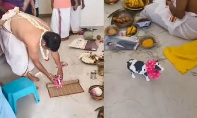 ಗೃಹ ಪ್ರವೇಶ ಆಚರಣೆಯಲ್ಲಿ ಗೋಮಾತೆ ಬದಲಿಗೆ ಆಟಿಕೆ ಹಸು