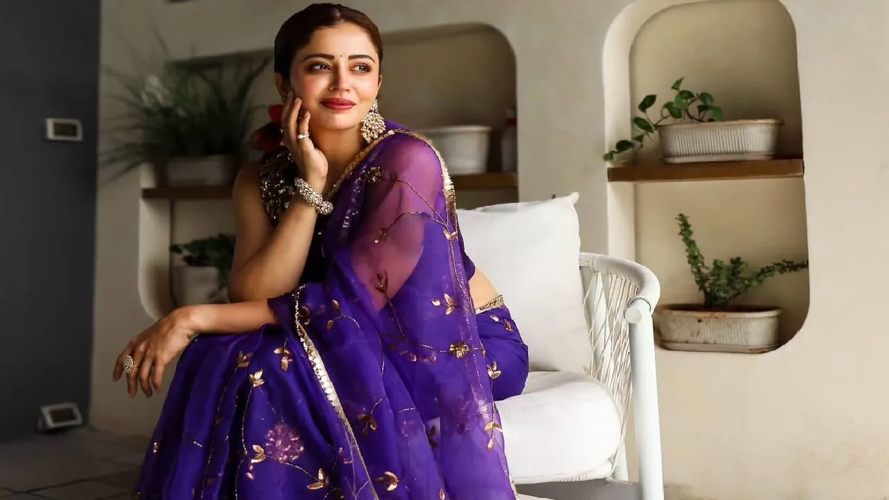 Transparent Sarees