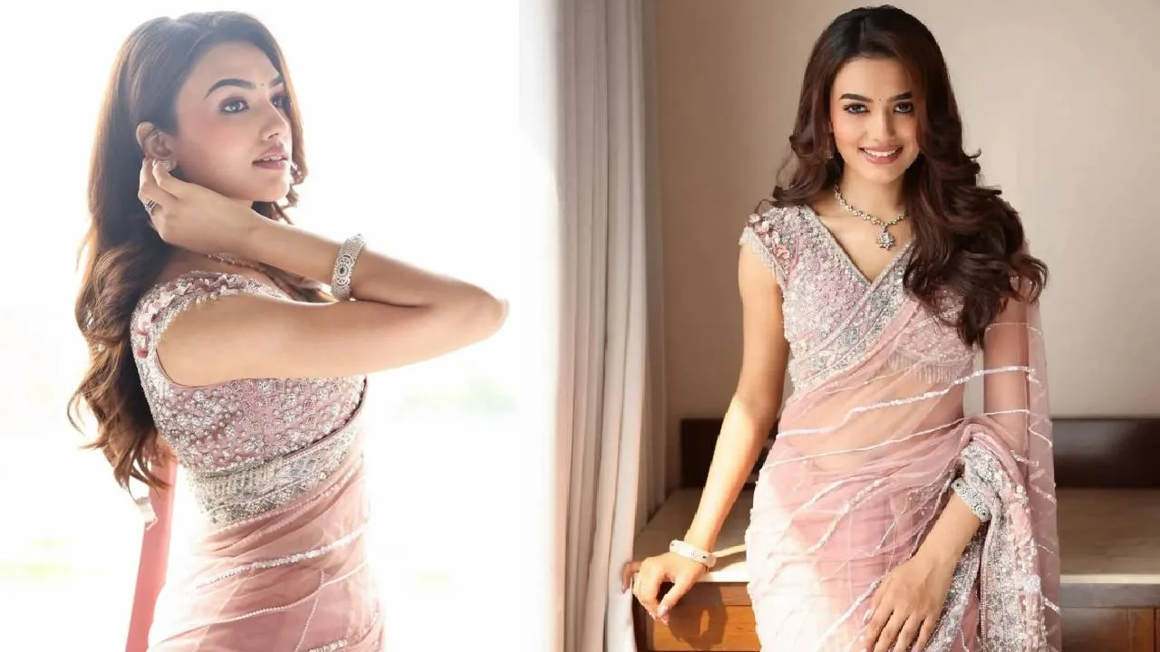 Summer Saree Fashion 2026: ಸಮ್ಮರ್‌ ಸೀಸನ್‌ನಲ್ಲಿ ಪಾರದರ್ಶಕ ಶೀರ್‌ ಸೀರೆ ಹಂಗಾಮ - Image 5