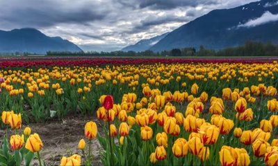 ಜಮ್ಮು-ಕಾಶ್ಮೀರದ ಪ್ರವಾಸಿ ತಾಣಗಳು ಮತ್ತೆ ಓಪನ್