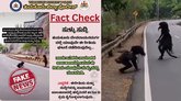 ದೇವರಾಯನದುರ್ಗದಲ್ಲಿ ಕಾಡು ಮನುಷ್ಯರು ಪ್ರತ್ಯಕ್ಷ? ಪೊಲೀಸರು ಹೇಳಿದ್ದೇನು?