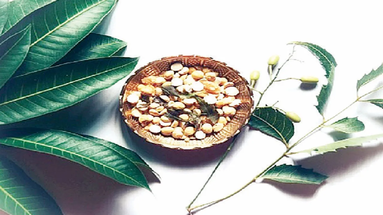 ನವ ಯುಗದ ಆದಿ ಈ ಯುಗಾದಿ