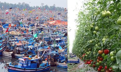 ಮೀನುಗಾರಿಕೆ, ಪಶುಸಂಗೋಪನೆಗೆ ಉತ್ತೇಜನ; ಸಬ್ಸಿಡಿ ಕಡಿತ ಘೋಷಣೆ