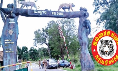 ಸಫಾರಿಗೆ ನಿರ್ಬಂಧ; ಕರುನಾಡು ಪ್ರವಾಸಿ ಸಂಸ್ಕೃತಿಗೆ ಧಕ್ಕೆ