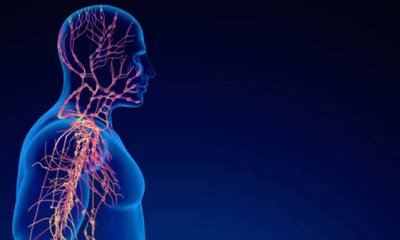 ವೇಗಸ್ ನರ ಆ್ಯಕ್ಟಿವ್ ಆದರೆ ಏನೆಲ್ಲ ಆರೋಗ್ಯ ಪ್ರಯೋಜನ ಇದೆ ಗೊತ್ತಾ?