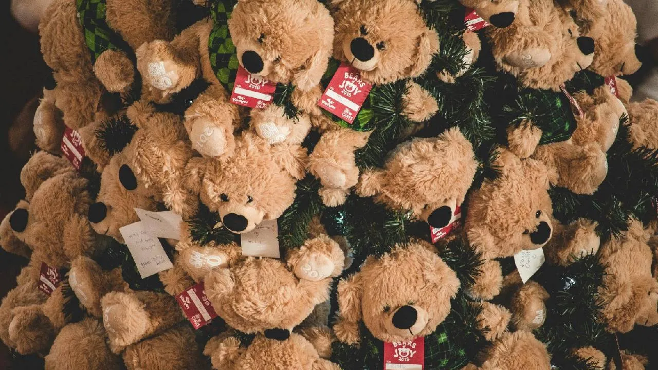 Valentines Week 2026: ವ್ಯಾಲೆಂಟೈನ್ಸ್ ವೀಕ್‌ನಲ್ಲಿ ಟ್ರೆಂಡಿಯಾಗಿರುವ 3 ಟೆಡ್ಡಿಬೇರ್ಸ್! - Image 1