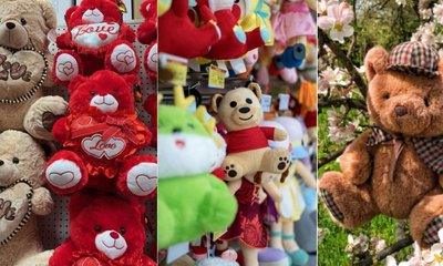 ವ್ಯಾಲೆಂಟೈನ್ಸ್ ವೀಕ್‌ನಲ್ಲಿ ಟ್ರೆಂಡಿಯಾಗಿರುವ 3 ಟೆಡ್ಡಿಬೇರ್ಸ್!