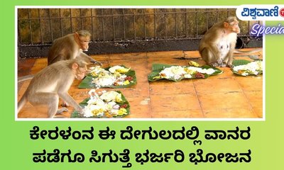ಓಣಂ ಹಬ್ಬದಂದು ಇಲ್ಲಿ ಮಂಗಗಳಿಗೆ ರಾಜಾತಿಥ್ಯ, ವಿಶೇಷ ಭೋಜನ