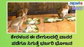 ಓಣಂ ಹಬ್ಬದಂದು ಇಲ್ಲಿ ಮಂಗಗಳಿಗೆ ರಾಜಾತಿಥ್ಯ, ವಿಶೇಷ ಭೋಜನ