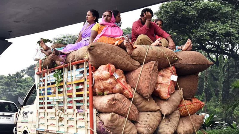 Vegitable price