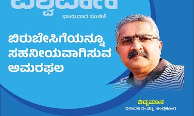 ಬಿರು ಬೇಸಿಗೆಯನ್ನೂ ಸಹನೀಯವಾಗಿಸುವ ಅಮರಫಲ
