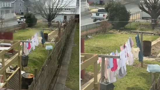 Viral Video: ‘ಇದು ಭಾರತವಲ್ಲ, ಅಮೆರಿಕ’... ಇಂಟರ್ನೆಟ್‌ನಲ್ಲಿ ಬಿಸಿ ಬಿಸಿ ಚರ್ಚೆ ಹುಟ್ಟುಹಾಕಿದ ಬಟ್ಟೆ ಒಣಗಿಸುವ ವಿಡಿಯೊ