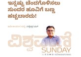 ಇನ್ನಷ್ಟು ಚೆಂದಗೊಳಿಸಲು ಸುಂದರ ಹೂವಿಗೆ ಬಣ್ಣ ಹಚ್ಚಬಾರದು !
