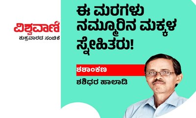 ಈ ಮರಗಳು ನಮ್ಮೂರಿನ ಮಕ್ಕಳ ಸ್ನೇಹಿತರು !