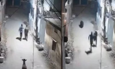 ವಾಕಿಂಗ್ ಹೋಗಿದ್ದವರ ಮೇಲೆ ಆಟ್ಯಾಕ್ ಮಾಡಲು ಮುಂದಾದ ಕರಡಿ