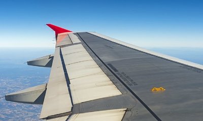 Vishweshwar Bhat Column: ರೆಕ್ಕೆಗಳಲ್ಲೇಕೆ ಇಂಧನ ?