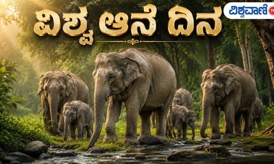 ಆನೆಗಳ ಸಂರಕ್ಷಣೆಯ ಮಹತ್ವ ಸಾರುವ ವಿಶ್ವ ಆನೆ ದಿನ ಇಂದು