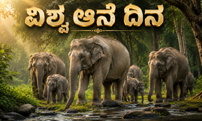 ಆನೆಗಳ ಸಂರಕ್ಷಣೆಯ ಮಹತ್ವ ಸಾರುವ ವಿಶ್ವ ಆನೆ ದಿನ ಇಂದು