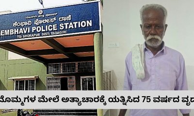 ಮೊಮ್ಮಗಳ ಮೇಲೆಯೇ ಅತ್ಯಾಚಾರಕ್ಕೆ ಯತ್ನಿಸಿದ ಅಜ್ಜ
