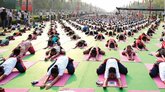 ಭೂಮಿಯನು ರಕ್ಷಿಸಲು ಯೋಗ !