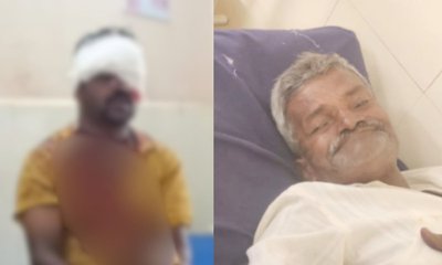 ಟೊಮೇಟೊ ತೋಟದಲ್ಲಿ ಕರಡಿ ದಾಳಿ; ಇಬ್ಬರು ರೈತರಿಗೆ ಗಂಭೀರ ಗಾಯ