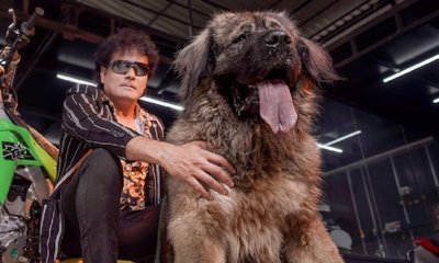 ಬೆದರಿಕೆ ಹಾಕಿದವರ ವಿರುದ್ಧ ಡಾಗ್‌ ಸತೀಶ್‌ ದೂರು