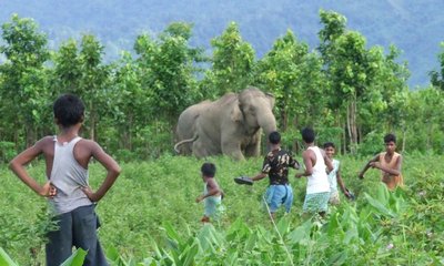 ಮಾನವ-ಪ್ರಾಣಿ ಸಂಘರ್ಷ ನಿಯಂತ್ರಿಸಿ; ಅರಣ್ಯ ಸಚಿವರಿಗೆ ರೈತ ಸಂಘ ಪತ್ರ